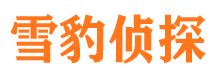 光泽市调查公司